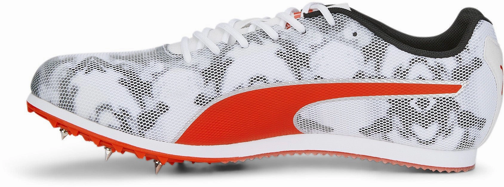 Evospeed Star 8