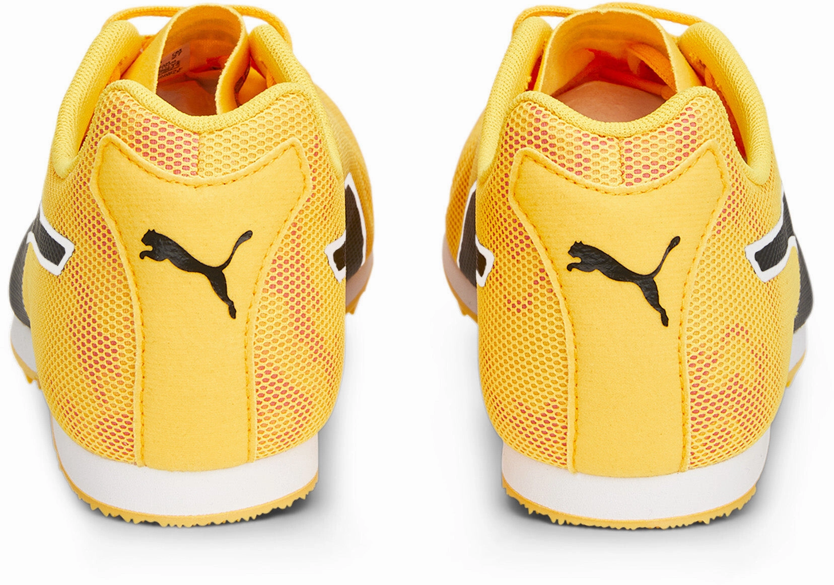 Evospeed Star 8