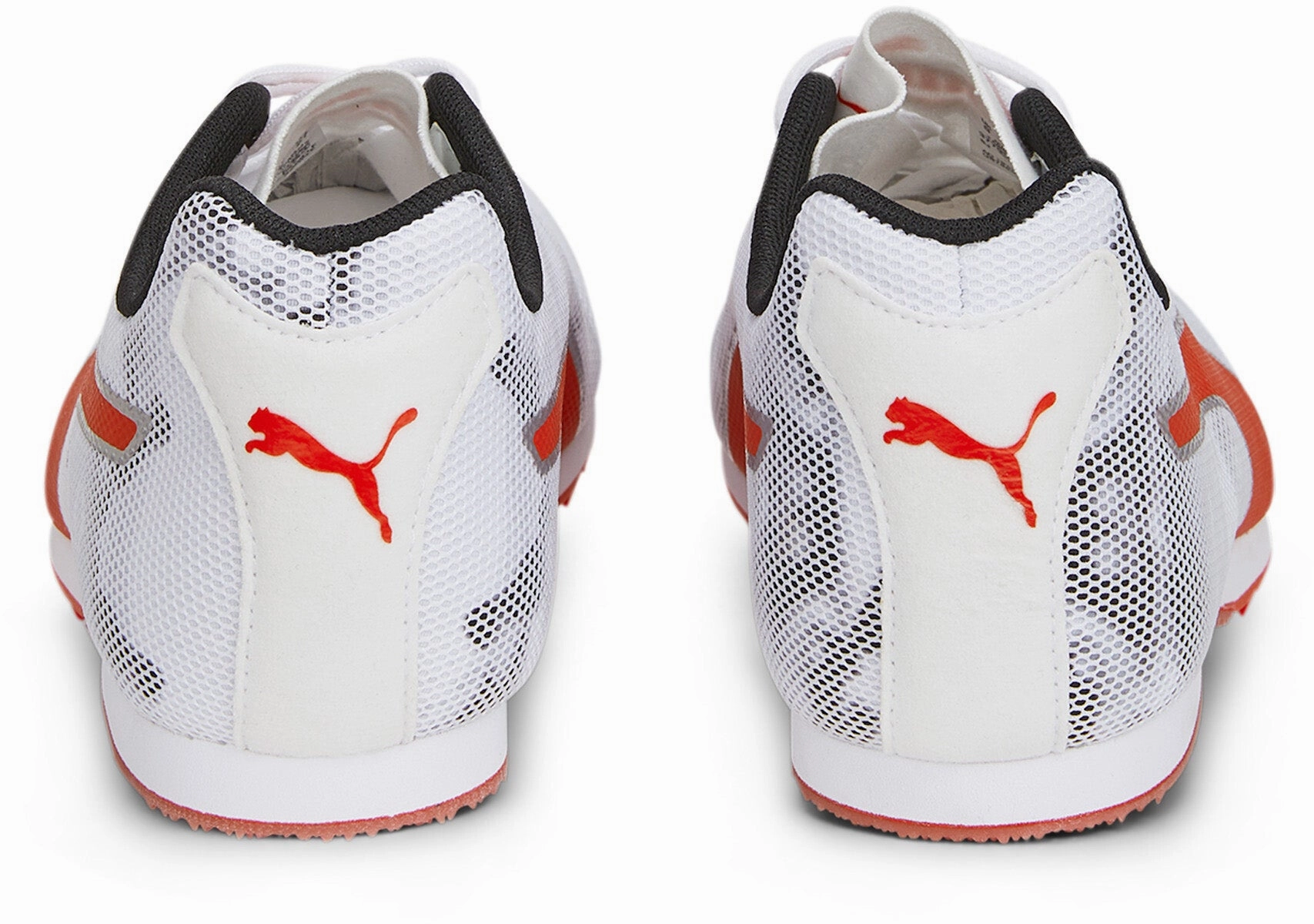 Evospeed Star 8