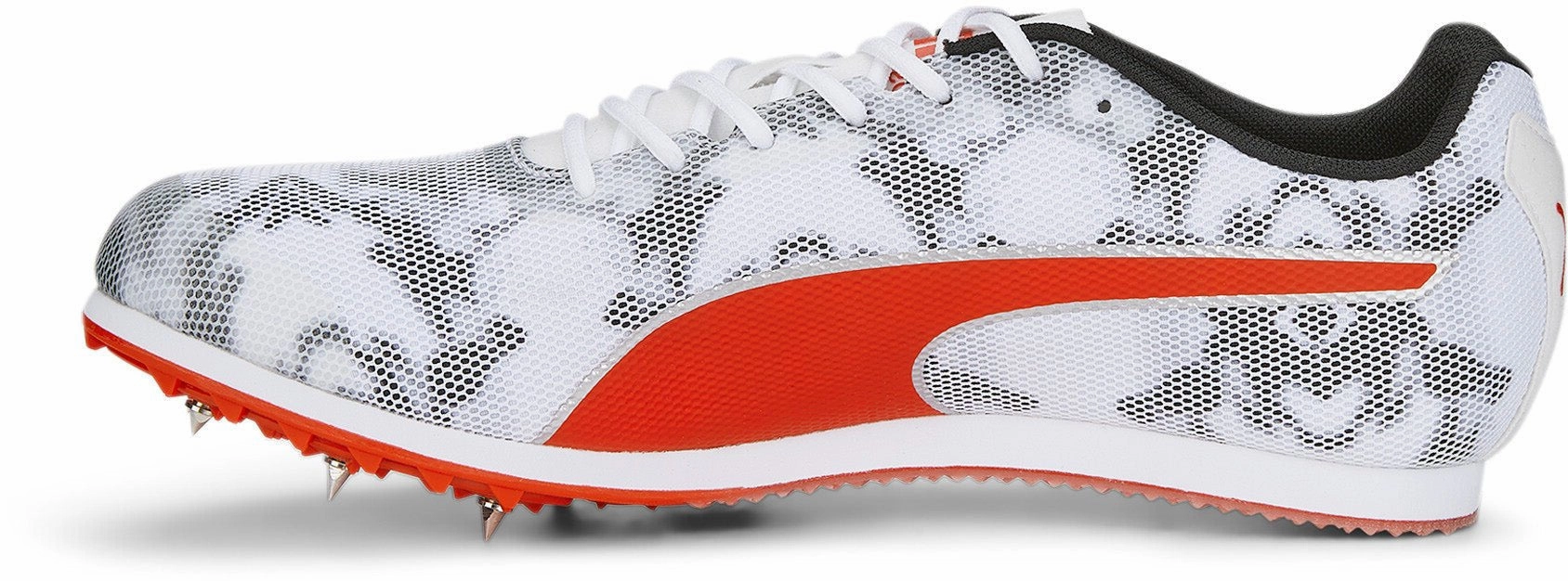 Evospeed Star 8