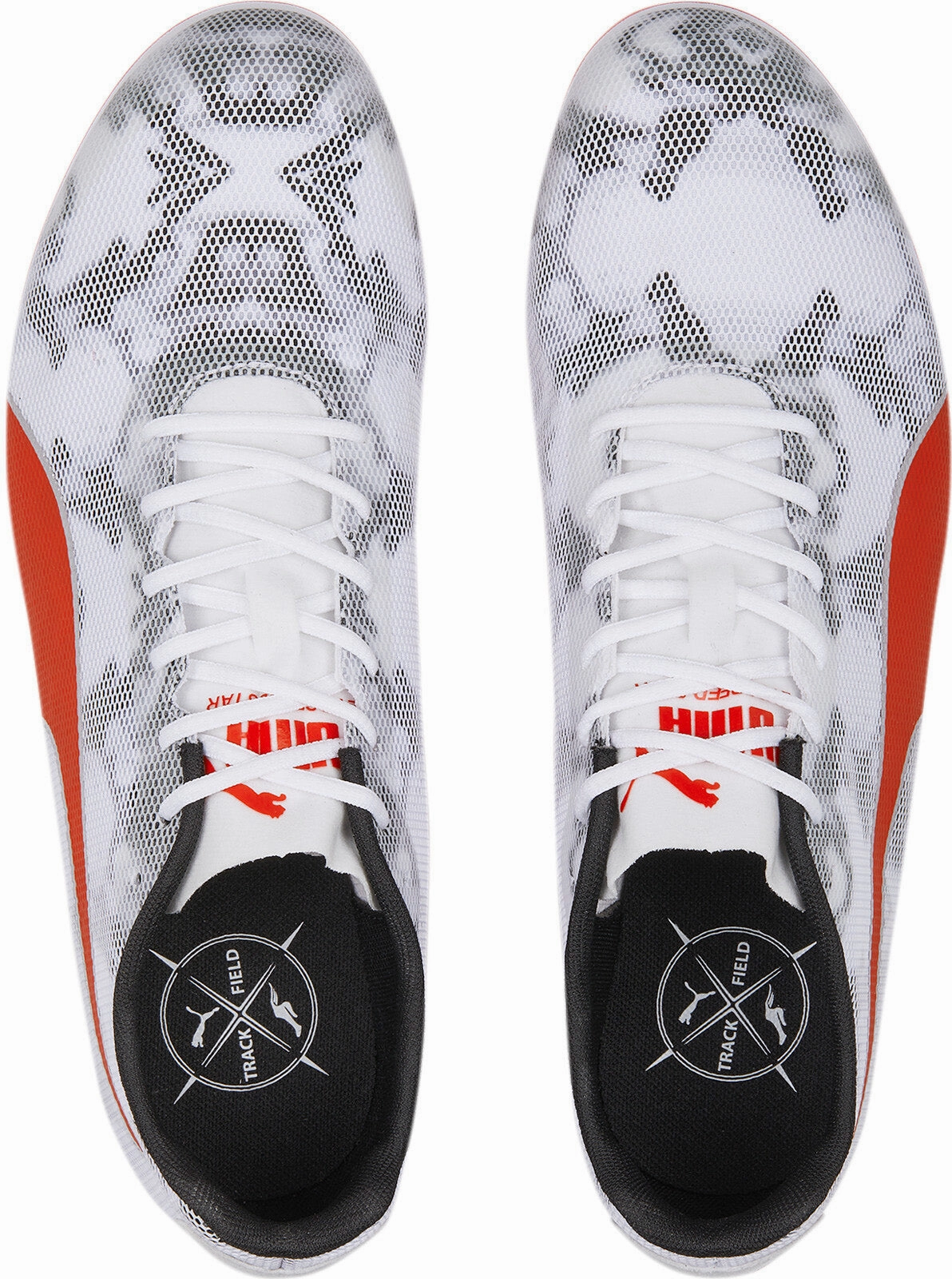 Evospeed Star 8