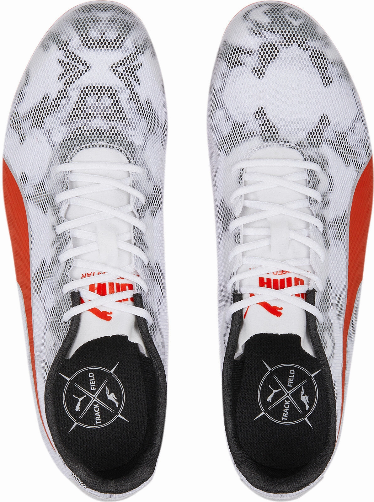 Evospeed Star 8