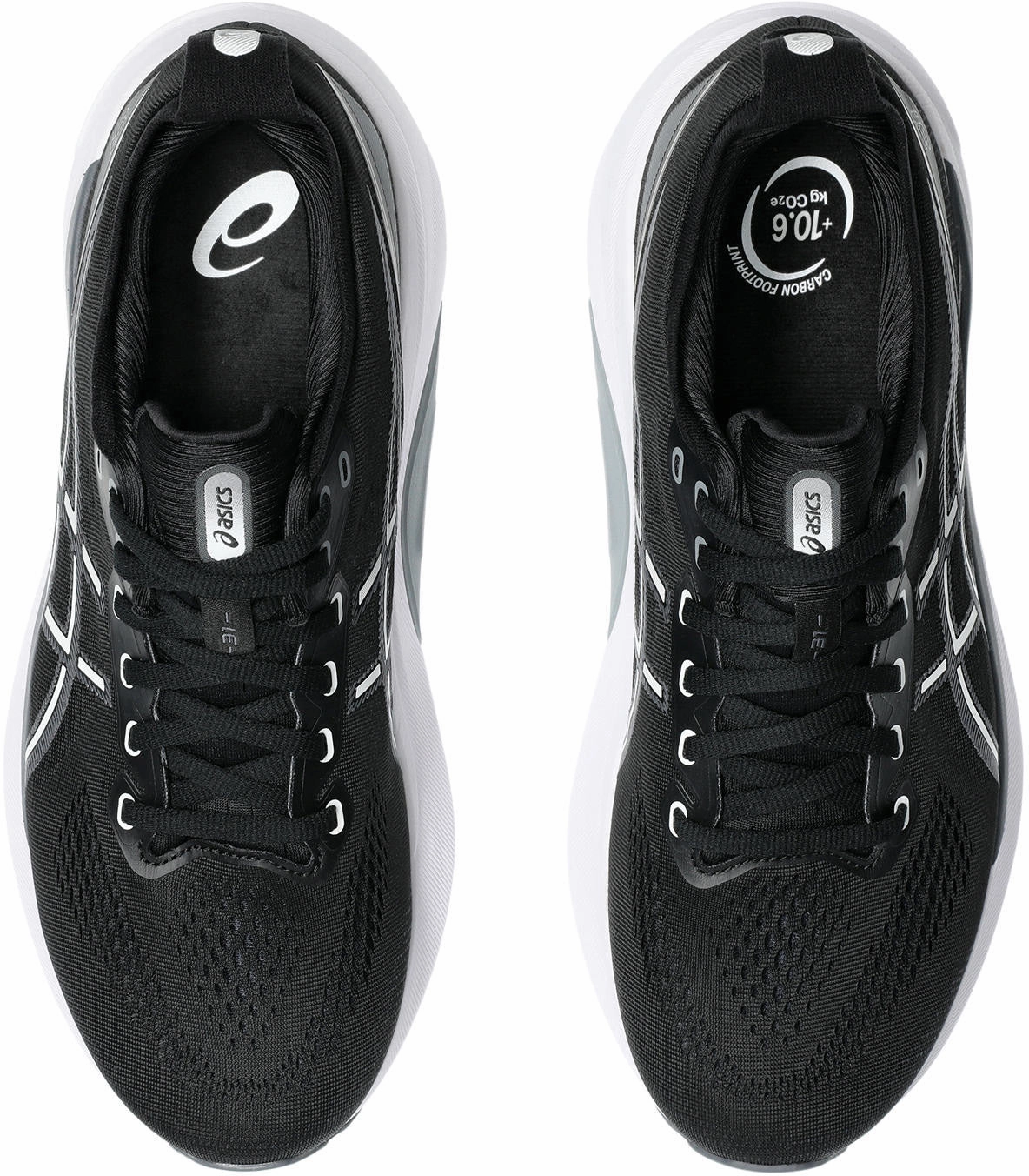Gel Kayano 31 Men's Running Shoes (Width 2E)